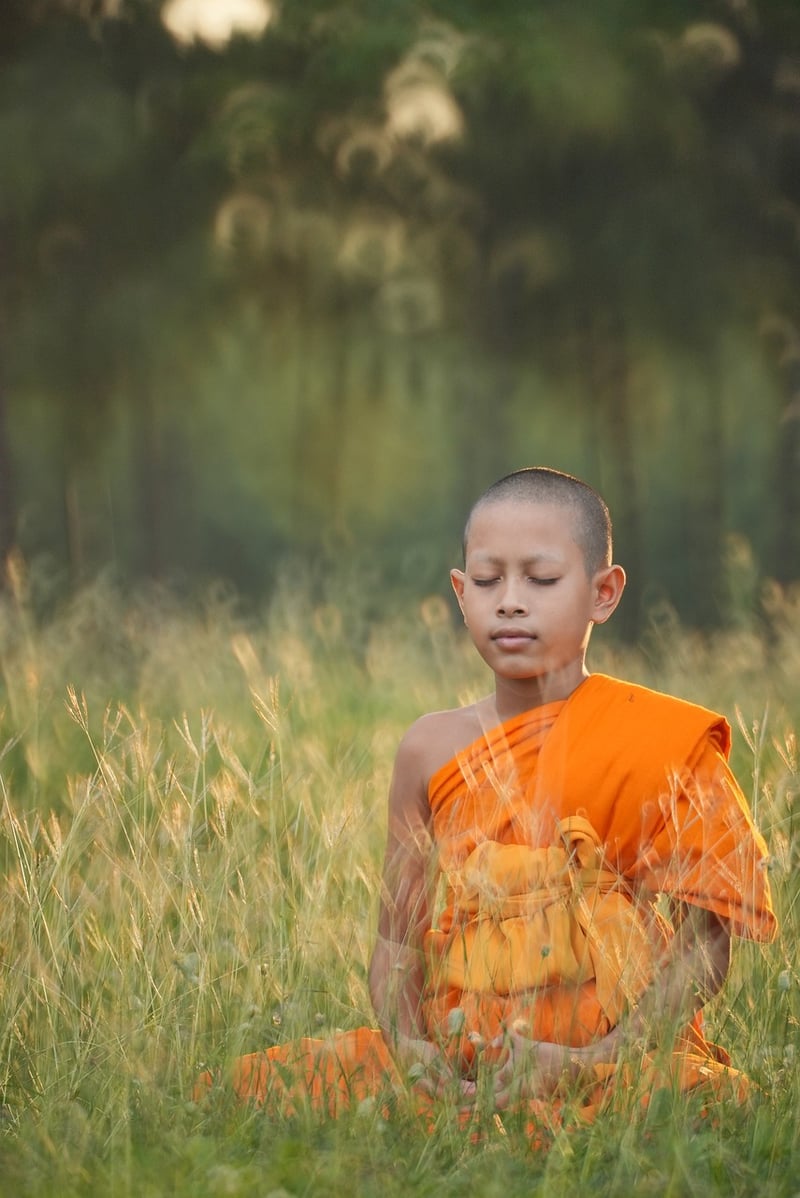 Qi Cultivation